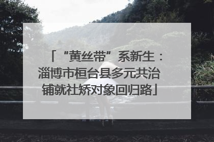 “黄丝带”系新生：淄博市桓台县多元共治铺就社矫对象回归路