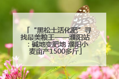 “黑松土活化肥”寻找最美粮王——濮阳站：碱地变肥地 濮阳小麦亩产1500多斤