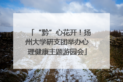 “黔”心花开！扬州大学研支团举办心理健康主题游园会