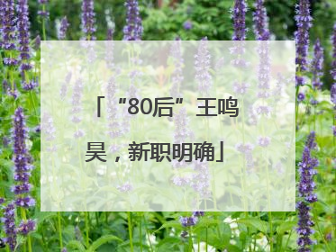 “80后”王鸣昊，新职明确