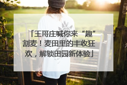 王哥庄喊你来“趣”割麦！麦田里的丰收狂欢，解锁田园新体验