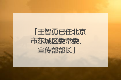 王智勇已任北京市东城区委常委、宣传部部长