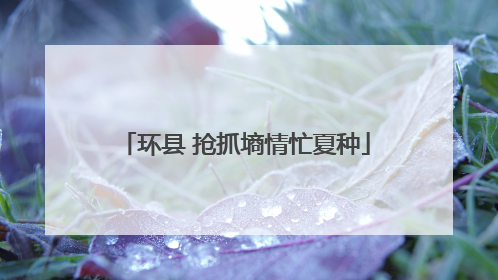 环县 抢抓墒情忙夏种