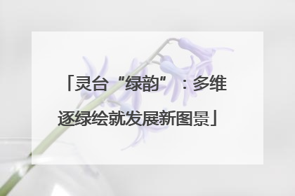 灵台“绿韵”：多维逐绿绘就发展新图景