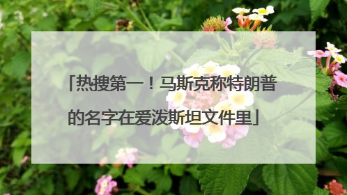 热搜第一！马斯克称特朗普的名字在爱泼斯坦文件里