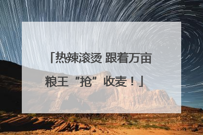 热辣滚烫 跟着万亩粮王“抢”收麦！