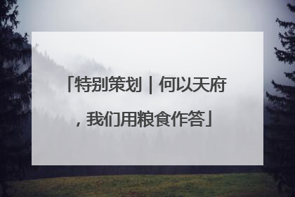特别策划｜何以天府，我们用粮食作答