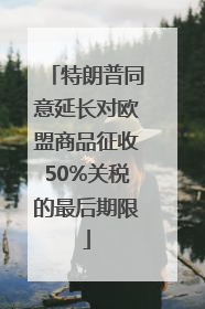 特朗普同意延长对欧盟商品征收50%关税的最后期限