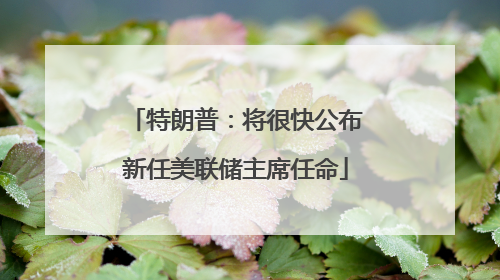 特朗普：将很快公布新任美联储主席任命