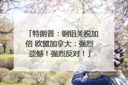 特朗普：钢铝关税加倍 欧盟加拿大：强烈遗憾！强烈反对！