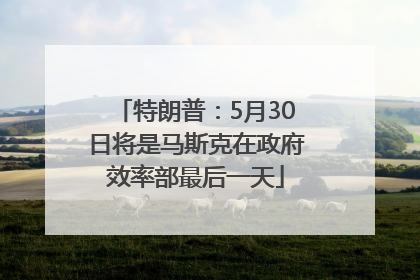 特朗普：5月30日将是马斯克在政府效率部最后一天