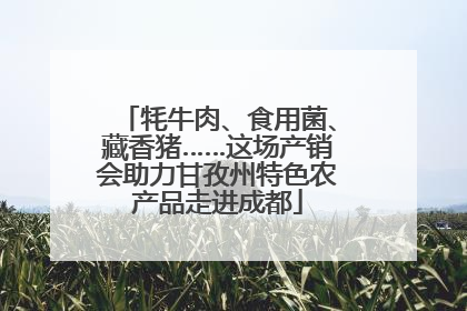 牦牛肉、食用菌、藏香猪……这场产销会助力甘孜州特色农产品走进成都