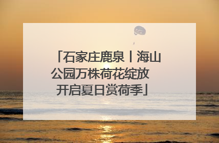 石家庄鹿泉丨海山公园万株荷花绽放 开启夏日赏荷季