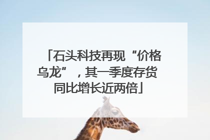 石头科技再现“价格乌龙”，其一季度存货同比增长近两倍