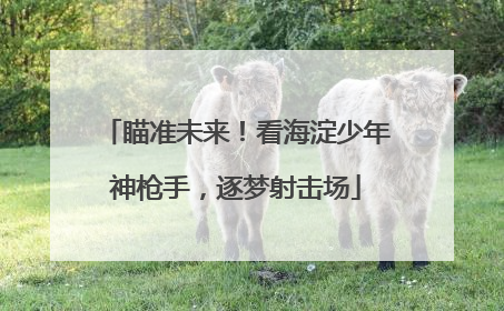 瞄准未来！看海淀少年神枪手，逐梦射击场