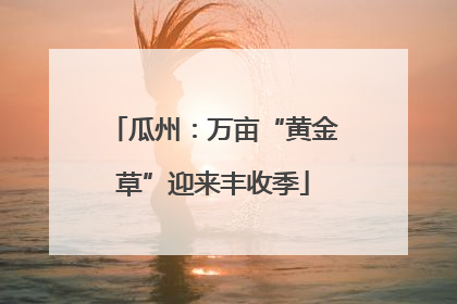 瓜州：万亩“黄金草”迎来丰收季