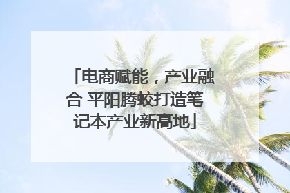电商赋能，产业融合 平阳腾蛟打造笔记本产业新高地