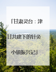 甘肃灵台：津甘共建下的针灸小镇振兴记