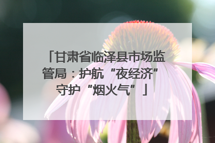 甘肃省临泽县市场监管局：护航“夜经济” 守护“烟火气”