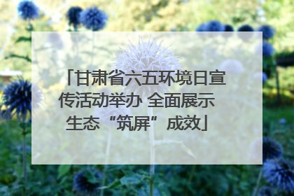 甘肃省六五环境日宣传活动举办 全面展示生态“筑屏”成效