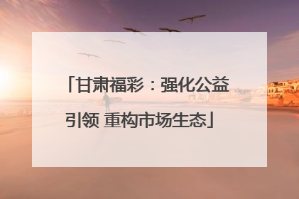 甘肃福彩：强化公益引领 重构市场生态