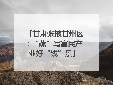 甘肃张掖甘州区：“蔬”写富民产业好“钱”景