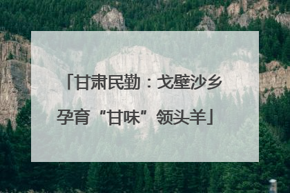 甘肃民勤：戈壁沙乡孕育“甘味”领头羊
