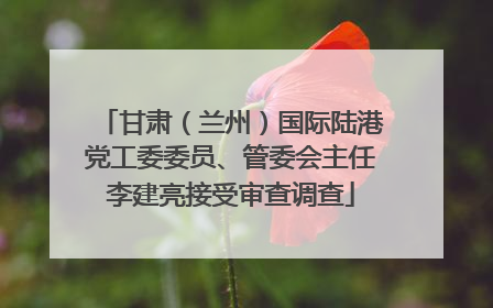 甘肃（兰州）国际陆港党工委委员、管委会主任李建亮接受审查调查
