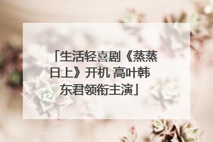 生活轻喜剧《蒸蒸日上》开机 高叶韩东君领衔主演