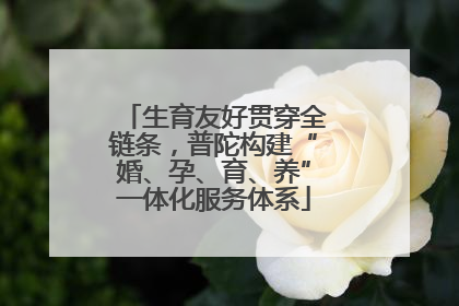 生育友好贯穿全链条，普陀构建“婚、孕、育、养”一体化服务体系