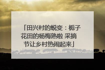 田兴村的蜕变：栀子花田的杨梅熟啦 采摘节让乡村热闹起来
