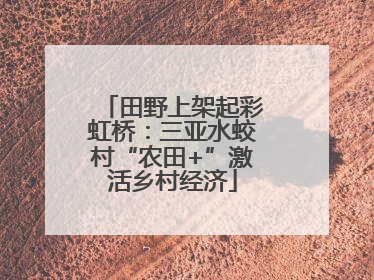 田野上架起彩虹桥：三亚水蛟村“农田+”激活乡村经济