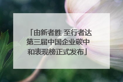 由新者胜 至行者达 第三届中国企业碳中和表现榜正式发布
