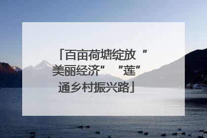 百亩荷塘绽放“美丽经济”“莲”通乡村振兴路