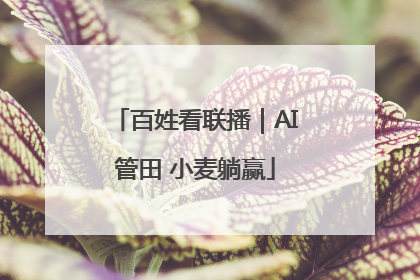 百姓看联播｜AI管田 小麦躺赢