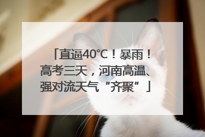 直逼40℃！暴雨！高考三天，河南高温、强对流天气“齐聚”