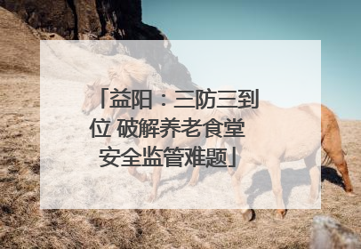 益阳：三防三到位 破解养老食堂安全监管难题