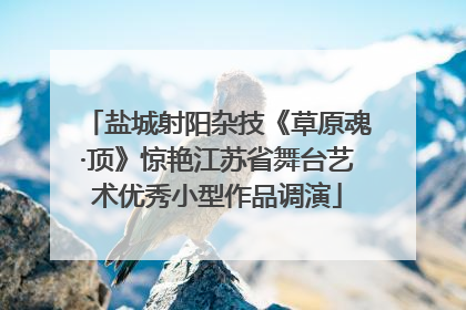 盐城射阳杂技《草原魂·顶》惊艳江苏省舞台艺术优秀小型作品调演