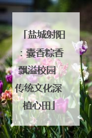 盐城射阳：囊香粽香飘溢校园 传统文化深植心田