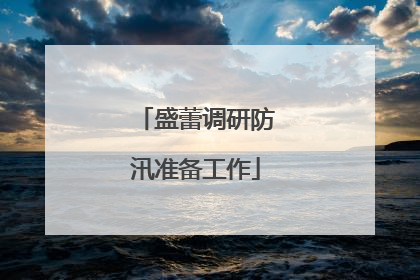 盛蕾调研防汛准备工作