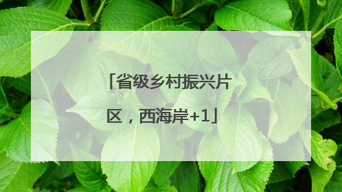 省级乡村振兴片区，西海岸+1