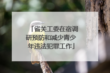 省关工委在宿调研预防和减少青少年违法犯罪工作