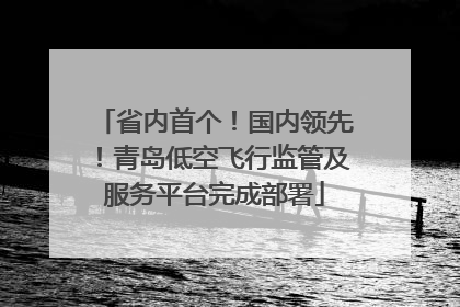 省内首个！国内领先！青岛低空飞行监管及服务平台完成部署