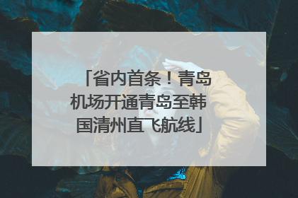 省内首条！青岛机场开通青岛至韩国清州直飞航线