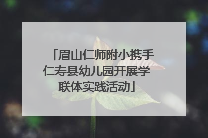 眉山仁师附小携手仁寿县幼儿园开展学联体实践活动