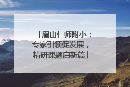 眉山仁师附小：专家引领促发展，精研课题启新篇