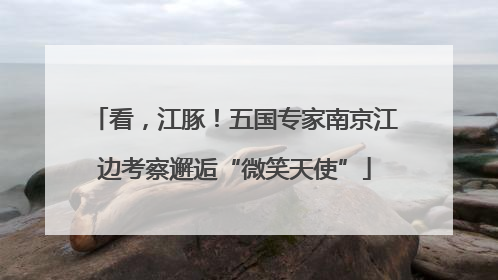 看，江豚！五国专家南京江边考察邂逅“微笑天使”