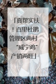 真帮实扶！百里杜鹃管理区两村“威宁鸡”产销两旺