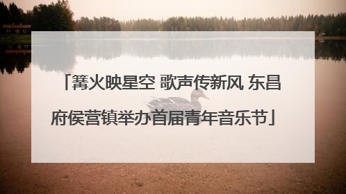 篝火映星空 歌声传新风 东昌府侯营镇举办首届青年音乐节