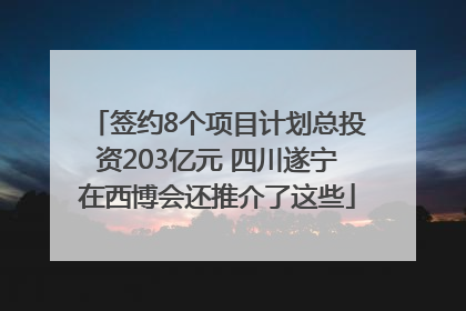 签约8个项目计划总投资203亿元 四川遂宁在西博会还推介了这些